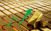 2023年成小贷行业洗牌之年：玩家数量持续滑坡 互联网大厂不断“狂奔”
